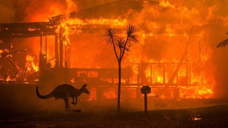 ആസ്ട്രേലിയയിലെ കാട്ടുതീ