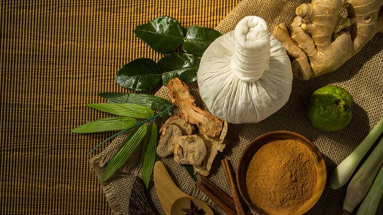 സര്‍ക്കാര്‍ ആയുര്‍വേദ ആശുപത്രികളില്‍ പുരുഷരോഗികളുടെ ഉഴിച്ചിലിന് വനിതകള്‍