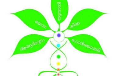 ആയുഷ് വകുപ്പിന് 11.6 കോടിയുടെ കേന്ദ്ര സഹായം