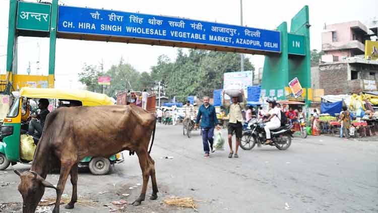 azadpur-market