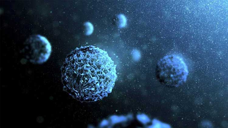 ക​ട​ൽ​വെ​ള്ള​ത്തി​ൽ രോ​ഗം പ​രത്തു​ന്ന  ബാ​ക്ടീ​രി​യ സാ​ന്നി​ധ്യം