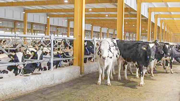 ഭ​​​ക്ഷ്യ​​​സു​​​ര​​ക്ഷ​: ല​​ക്ഷ്യ​​ത്തി​​ലേ​​ക്ക്​ അ​​ടു​​ത്ത്​ രാ​​ജ്യം