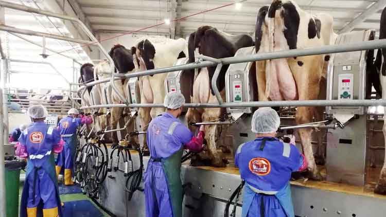 ബ​​ല​​ദ്ന​യു​ടെ ആദ്യ ഓ​​ഹ​​രിവി​​ൽ​​പ​​ന ഉ​​ട​​ൻ