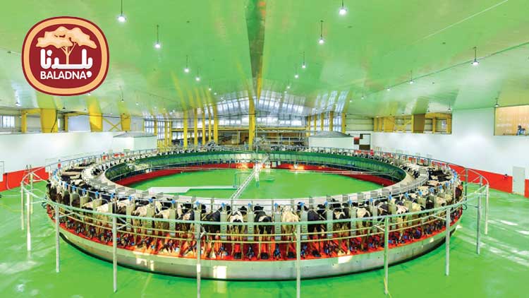 കൂടുതൽ ഉയരങ്ങളിലേക്ക്​ ബലദ്​ന