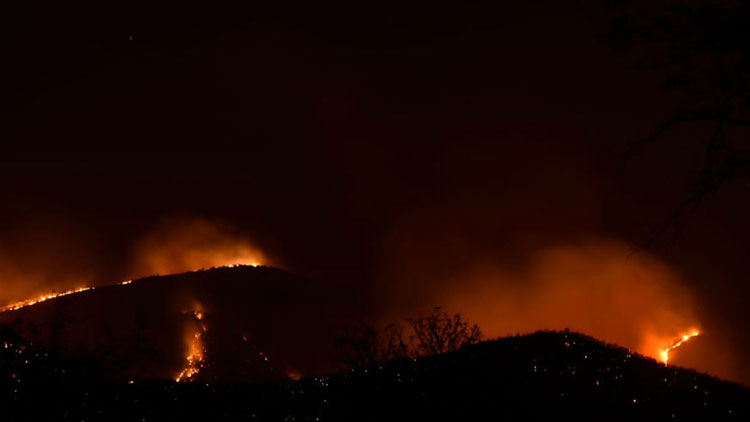 ബ​ന്ദി​പ്പൂ​രി​നെ കാ​ട്ടു​തീ വി​ഴു​ങ്ങു​ന്നു
