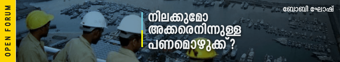 കശ്മലകാക്കയുടെ കുഞ്ഞുങ്ങൾ