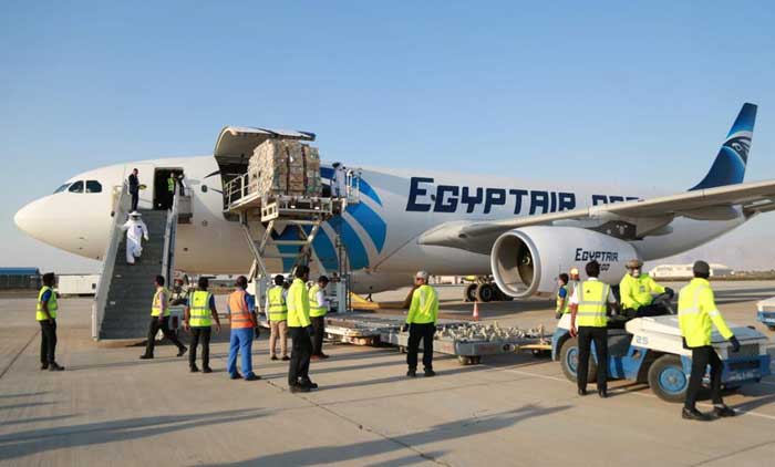 40,000 തേ​നീ​ച്ച​ക​ൾ വി​മാ​നം  ക​യ​റി റാ​സ​ൽ​ഖൈ​മ​യി​ലെ​ത്തി