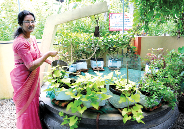 beena g nair beena g nair