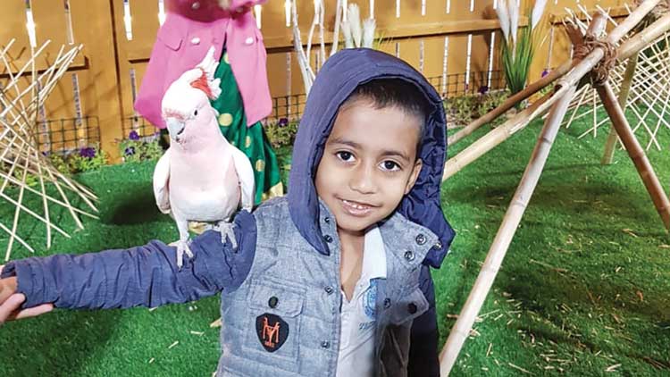 പുഷ്പ മേളയിലെ പക്ഷിപ്പാർക്കിൽ തിരക്ക് പുഷ്പ മേളയിലെ പക്ഷിപ്പാർക്കിൽ തിരക്ക്