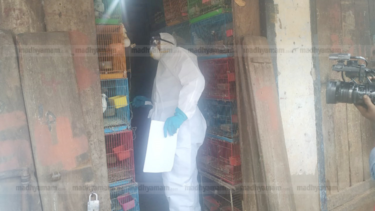 പക്ഷിപ്പനി: 1700 പക്ഷികളെ കൊന്നുകത്തിച്ചു VIDEO