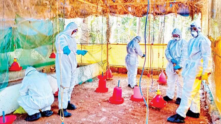 പ​ക്ഷി​പ്പ​നി, കു​ര​ങ്ങുപ​നി; ക​രു​ത​ലും പ്ര​തി​രോ​ധ​വും ത​ന്നെ ആ​യു​ധം