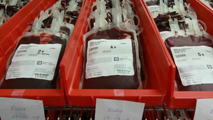 രക്​ത ബാങ്കുകൾ വൈകീട്ട്​ ആറുവരെ പ്രവർത്തിക്കണം -മനുഷ്യാവകാശ കമീഷൻ