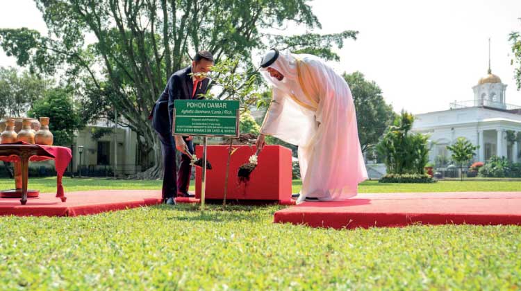 ബോ​ഗോ​ ഗാ​ർ​ഡ​നി​ലെ ദേ​വ​താ​രു​വി​ൽ യു.എ.ഇയു​ടെ കൈ​​യൊ​പ്പ്​