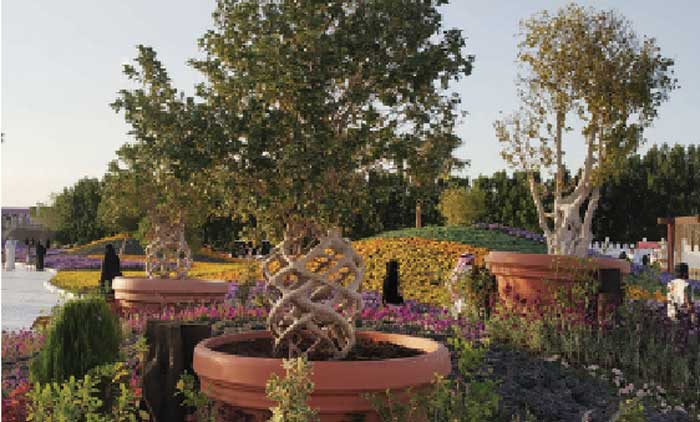 യാമ്പുവിലെ പൂന്തോപ്പിലെ ‘ബോൺസായ് മരങ്ങൾ കൗതുക കാഴ്ചയൊരുക്കുന്നു