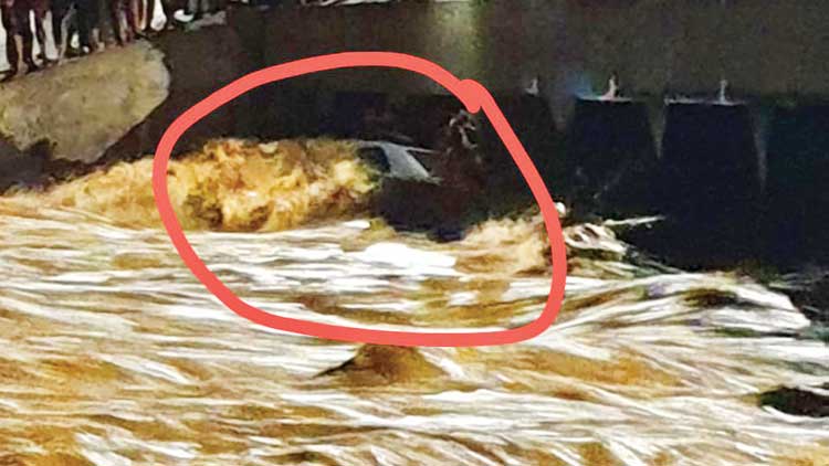 മഴയിൽ കുതിർന്ന്​ ഒമാൻെറ വടക്കൻ മേഖല