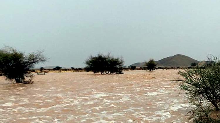 ന്യൂ​ന​മ​ർ​ദം; ഒമാനില്‍  മ​ഴ ശ​ക്തം