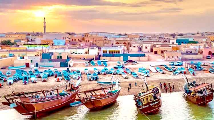 ദേശീയ സാമ്പത്തിക മേഖലക്ക് കരുത്തായി ജലാൻ ബനീ ബൂഅലിയിലെ മത്സ്യബന്ധനം