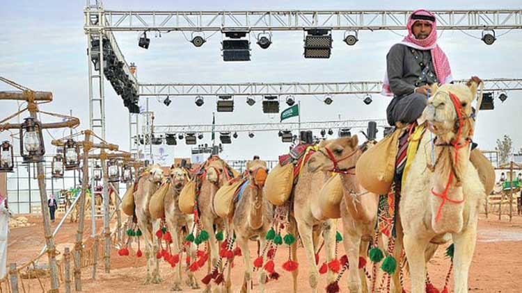 കിങ്​ അബ്​ദുൽ അസീസ്​ ഒട്ടകമേള 23ന്​ അവസാനിക്കും