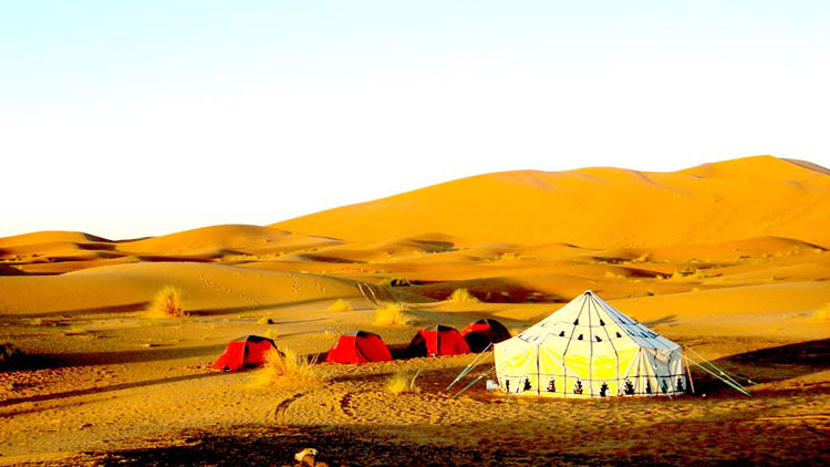 ക്യാമ്പിങ്​ ടൂറിസത്തിന് കരുത്തേകാൻ വിവിധ പദ്ധതികൾ