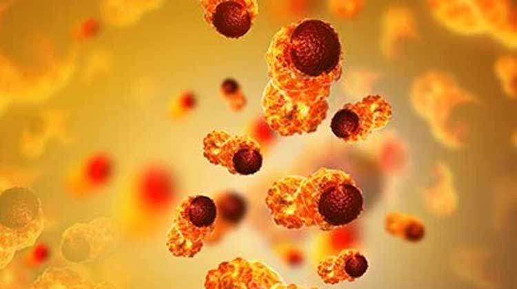 കാന്‍സര്‍ സെൻറർ ഔട്ട്പേഷ്യൻറ്​ വിഭാഗം ഇനി ഹമദ് മെഡിക്കല്‍ സിറ്റിയിൽ