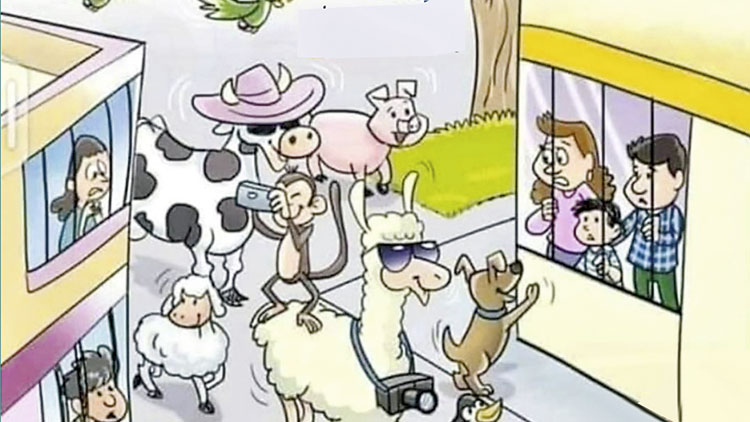 വീ​ട​ക​ങ്ങ​ൾ സ​ജീ​വ​മാ​ക്കി  കു​ടും​ബ​ങ്ങ​ൾ