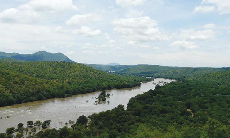 125 അടി ‘മദർ കാവേരി’ പ്രതിമക്ക്​ കർണാടക