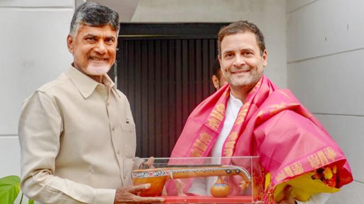 chandrababu-naidu-meets-rahul