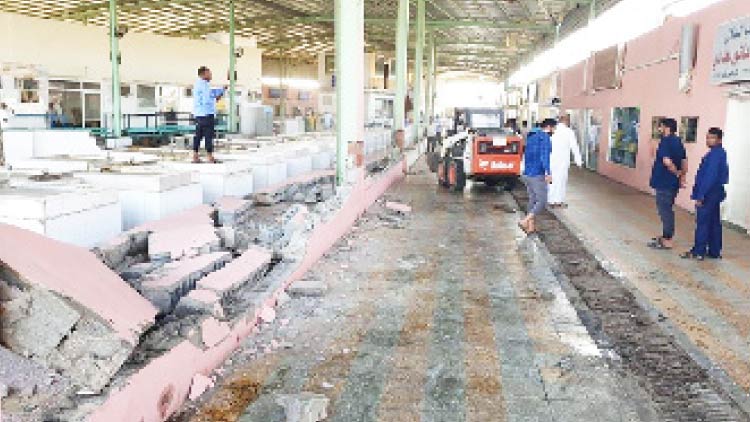 ചീവീട് ശല്യം: യാമ്പു ഫിഷ് മാർക്കറ്റിൽ മുനിസിപ്പാലിറ്റി അധികൃതരുടെ ഇടപെടൽ