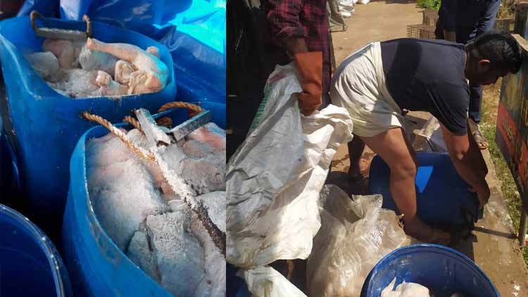 പക്ഷിപ്പനി: നിയന്ത്രണം ലംഘിച്ച് കടത്തിയ കോഴിയിറച്ചി പിടികൂടി