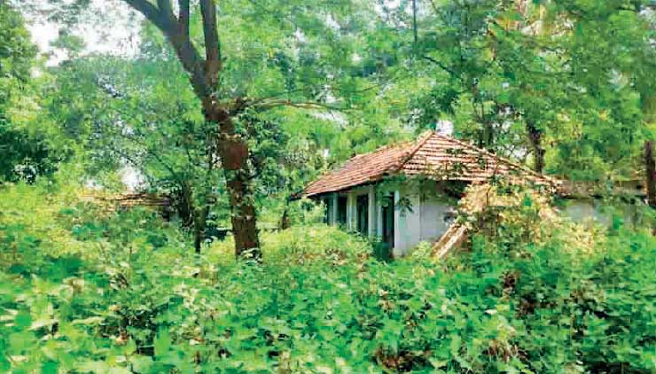 മഹാമാരിയുടെ ഓർമപ്പെടുത്തലുമായി ചിറ്റൂരിലെ ‘പ്ലേഗ് ഷെഡ്’