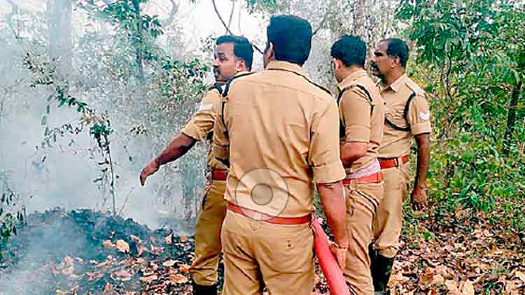 നേ​ര്യ​മം​ഗ​ലം വ​ന​ത്തി​ൽ തീ​പ​ട​ർ​ന്നു;  അ​ഞ്ച്​ ഏ​ക്ക​ർ ക​ത്തി​ന​ശി​ച്ചു