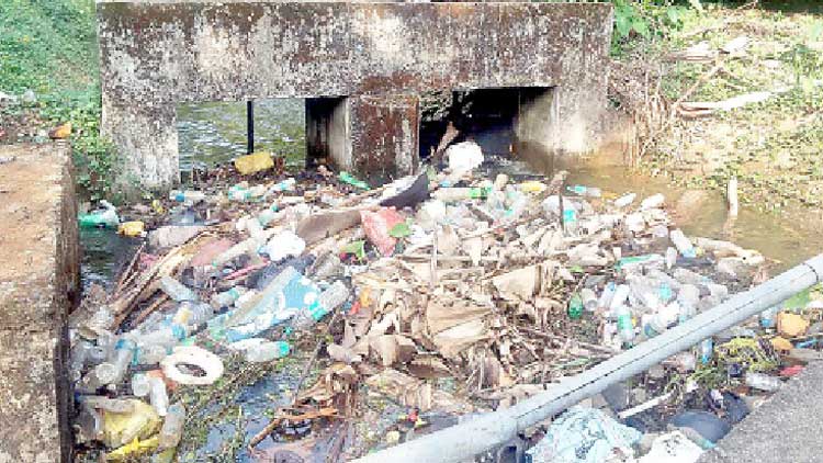 മാലിന്യം നിറഞ്ഞ് പെരിയാർവാലി കനാൽ