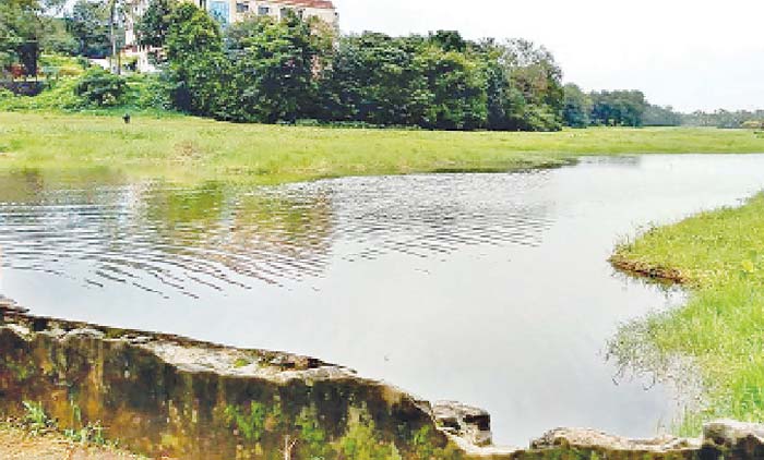 പ്രഖ്യാപനങ്ങളിൽ ഒതുങ്ങി  തുമ്പിച്ചാൽ–വട്ടച്ചാൽ സംരക്ഷണം