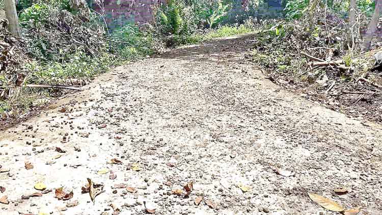 മഴയും തെരഞ്ഞെടുപ്പ്​ പെരുമാറ്റച്ചട്ടവും തടസ്സം: 81 കോടിയുടെ റോഡ്പണി സ്തംഭിച്ചു