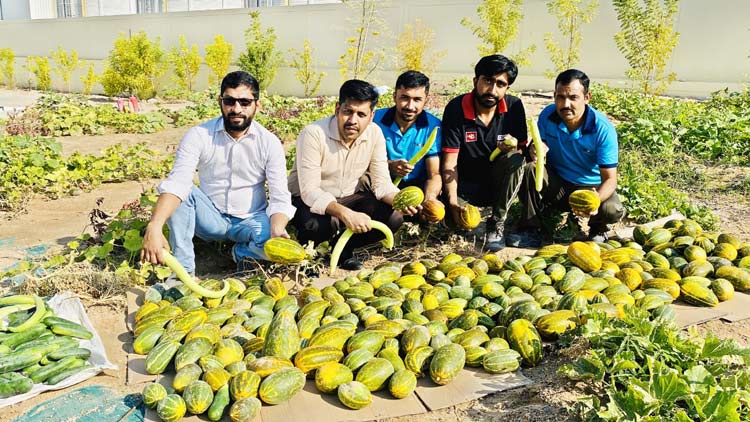 പഴം പച്ചക്കറി കൃഷിയും ക്ലിക്കാണ്