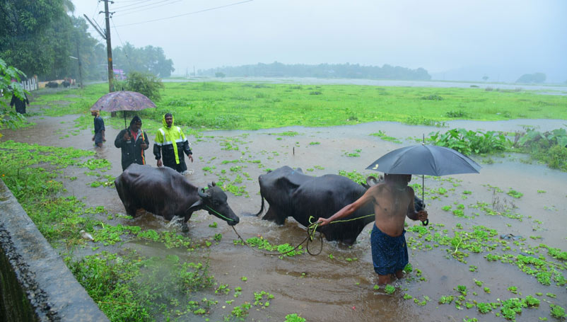 മേഘങ്ങള്‍ രൂപം മാറുന്നു; മണ്‍സൂണി​െൻറ സ്വഭാവവും