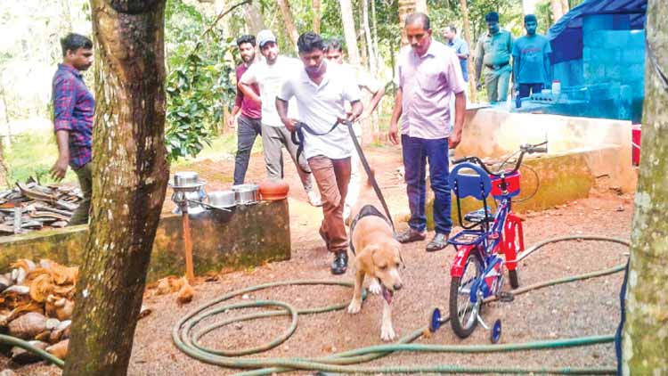 പാറക്കടവിൽ വീട്ടിൽ കവർച്ച;  30 പവൻ നഷ്​ടപ്പെട്ടു