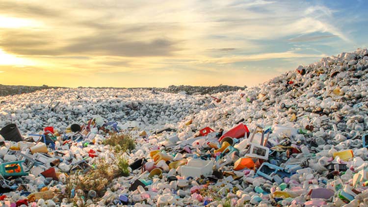 മാ​ലി​ന്യ​ത്തി​ൽ തിര​ച്ചി​ൽ ന​ട​ത്തി​യ  13 ശു​ചീ​ക​ര​ണ തൊ​ഴി​ലാ​ളി​ക​ൾ അ​റ​സ്​​റ്റി​ൽ