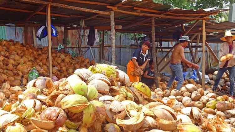 കൂടുതൽ ലോക്​ഡൗൺ ഇളവുകൾ; നാളികേരം, അടക്ക, കൊക്കോ സംസ്​കരണമാകാം