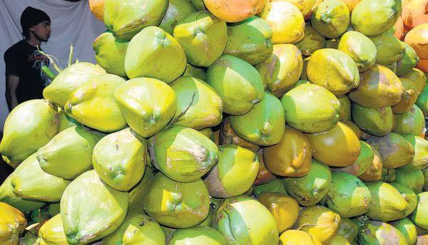 കർഷകർക്ക്​ പ്രഹരമായി തമിഴ്​നാട് തേങ്ങയുടെ വരവ്​