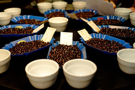 കോ​ഫി ക്വാ​ളി​റ്റി മാ​നേ​ജ്​​മെൻറി​ൽ പി.​ജി ഡി​പ്ലോ​മ