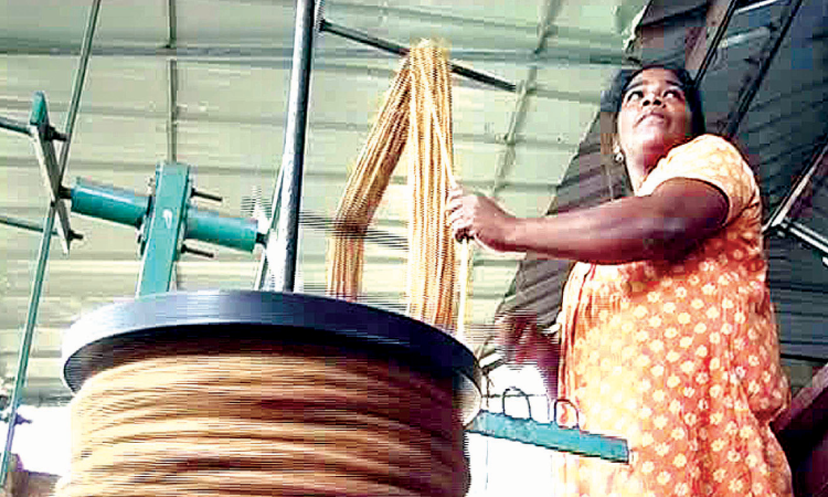 കയറില്‍ കുരുങ്ങാതെ സാബുവിന്‍റെ വിജയവഴി