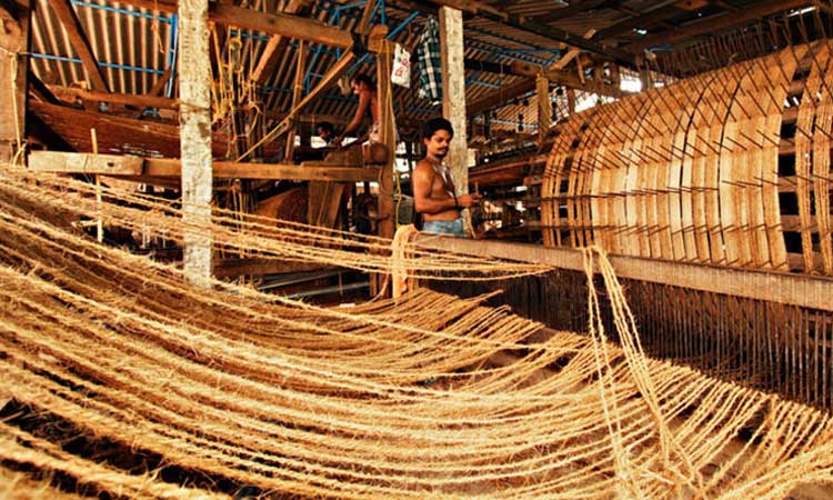 കയർ ഉത്​പാദനം വർധിപ്പിക്കും; മേഖലയിൽ 25 സ്റ്റാര്‍ട്ടപ്പുകള്‍