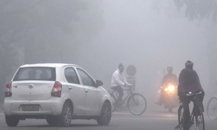 cold-in-north--india