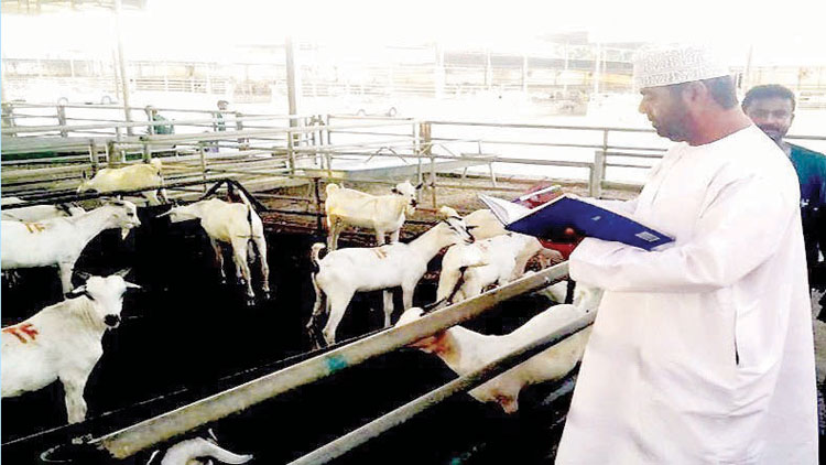 കോംഗോ പനി ബാധ; രോഗനിയന്ത്രണ നടപടികൾ പൂർത്തിയായി