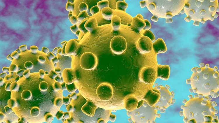 കൊച്ചി എ.സി.പിയുടെ പേരിൽ വാ​ട്ട്സ്​​ആ​പ്പി​ൽ ‘നുണ വൈറസ്’