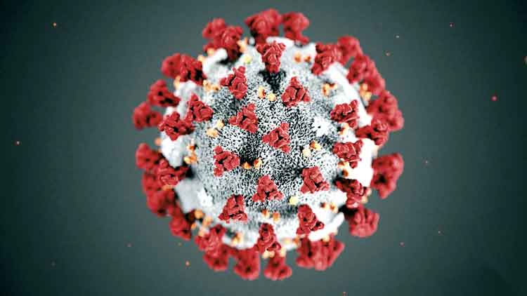 കുവൈത്തിൽ 553 പേർക്ക്​ കൂടി കോവിഡ്​; 836 പേർക്ക്​ രോഗമുക്​തി