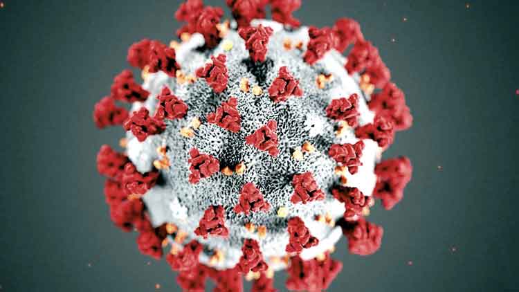 സൗദിയിൽ ഇന്ന്​ 17 പേർ മരിച്ചു; 1581 പുതിയ രോഗികൾ