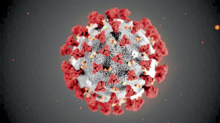 ​കോവിഡ്​-19: സൗദിയിൽ രോഗബാധ സ്​ഥിരീകരിച്ചു