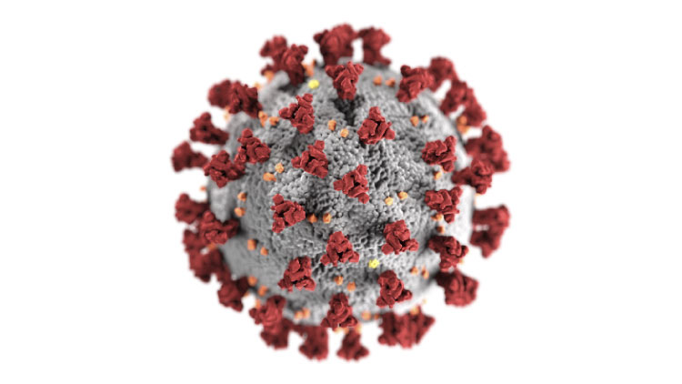 ടെ​ലി​മെ​ഡി​സി​ൻ സം​വി​ധാ​ന​ത്തി​ലൂ​ടെ നി​രീ​ക്ഷ​ണം ന​ട​പ്പാ​ക്കാ​ൻ ആ​ലോ​ച​ന